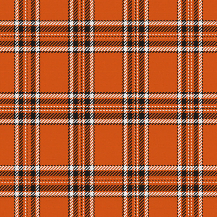 Orange, Near Black & White · Palette 014 — Alderwick