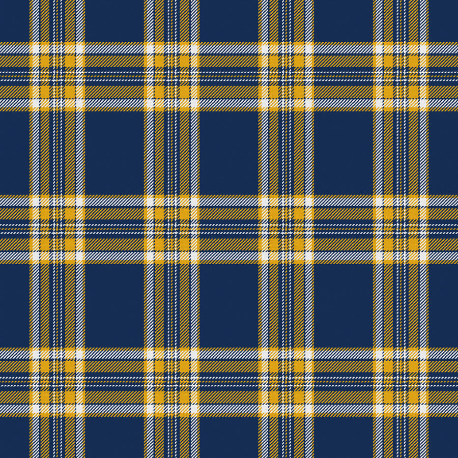Deep Navy, Gold & White — Alderwick
