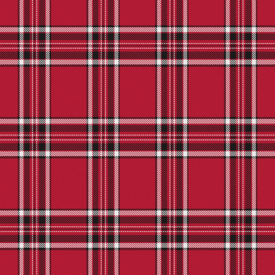 Red, Near Black & White · Palette 023 — Alderwick