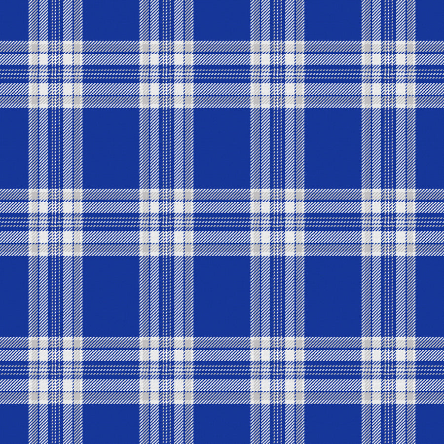 Royal Blue, White & Light Gray — Alderwick