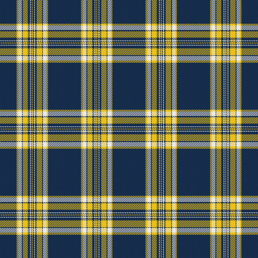 Navy, Maize & White — Alderwick