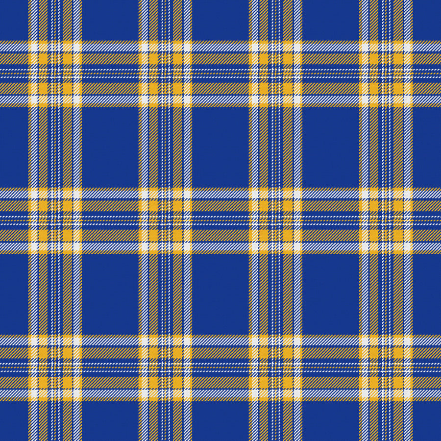Royal Blue, Golden Yellow & White — Alderwick