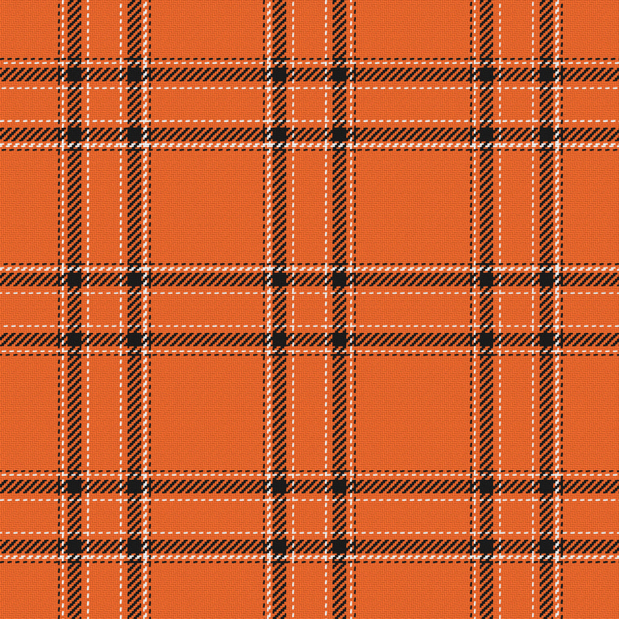 Orange, Near Black & White — Tailored