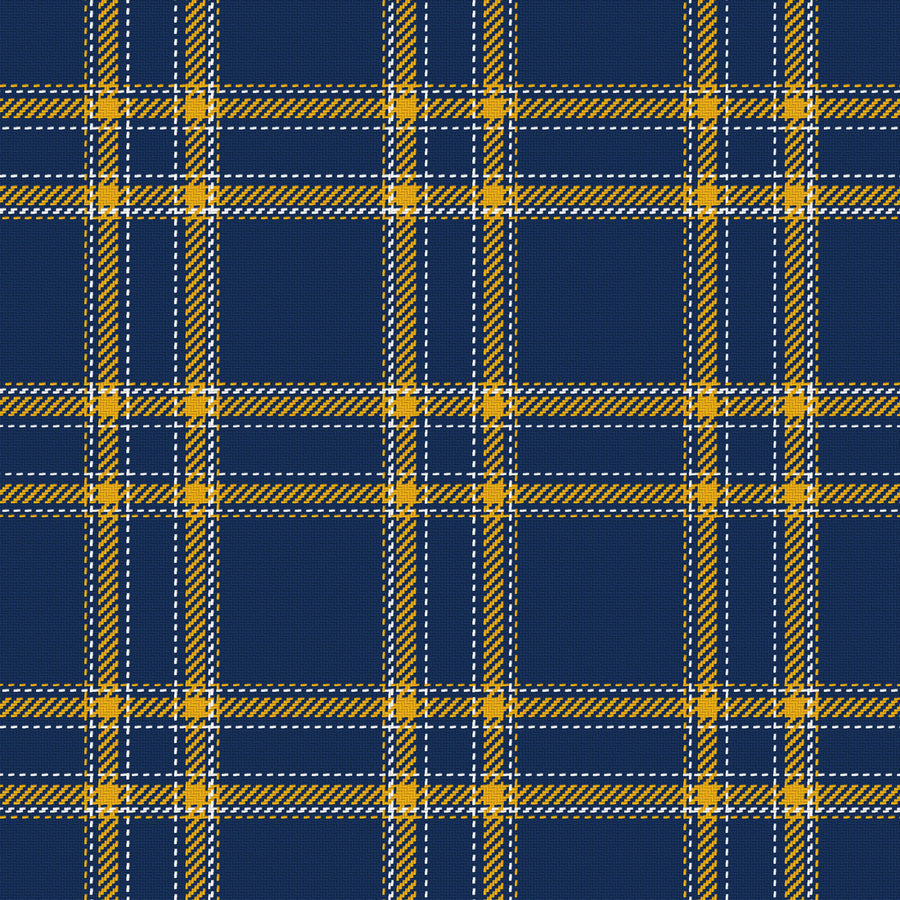 Deep Navy, Gold & White — Tailored