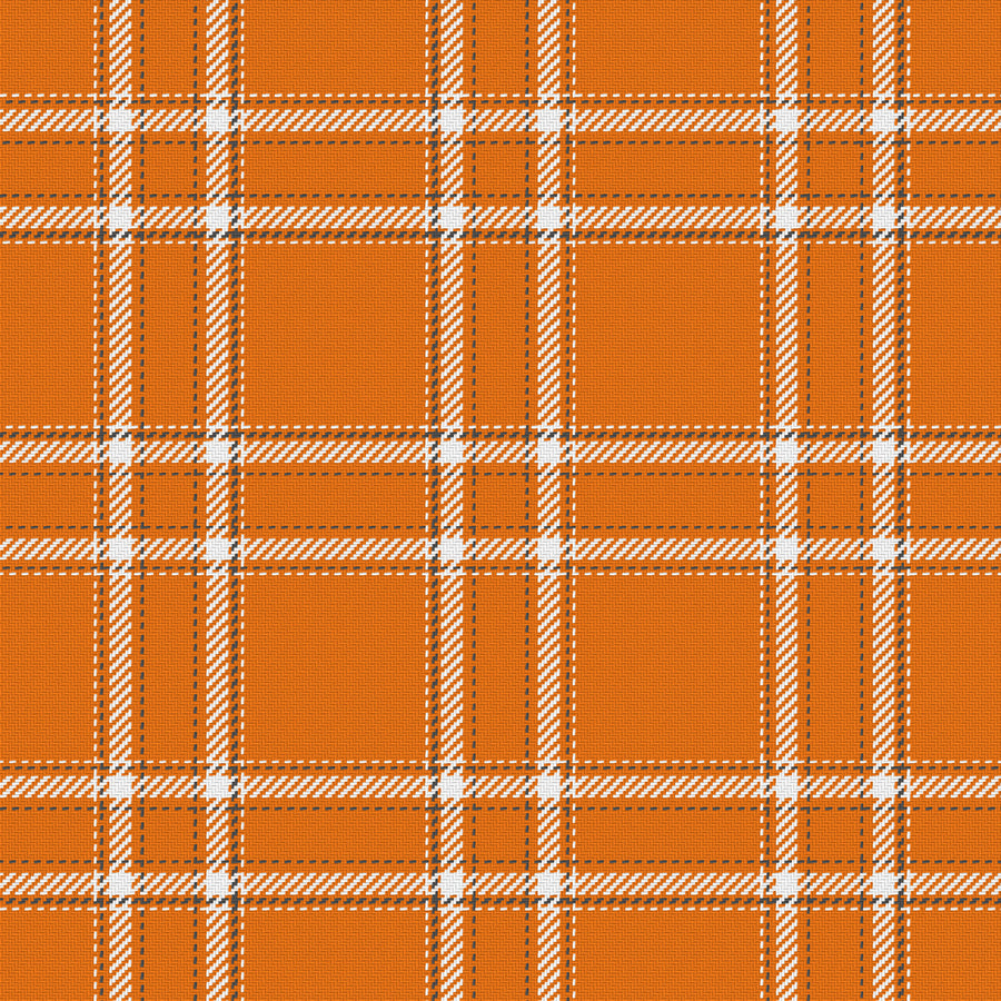 Orange, White & Smoke Gray — Tailored