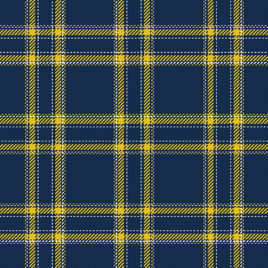 Navy, Maize & White — Tailored