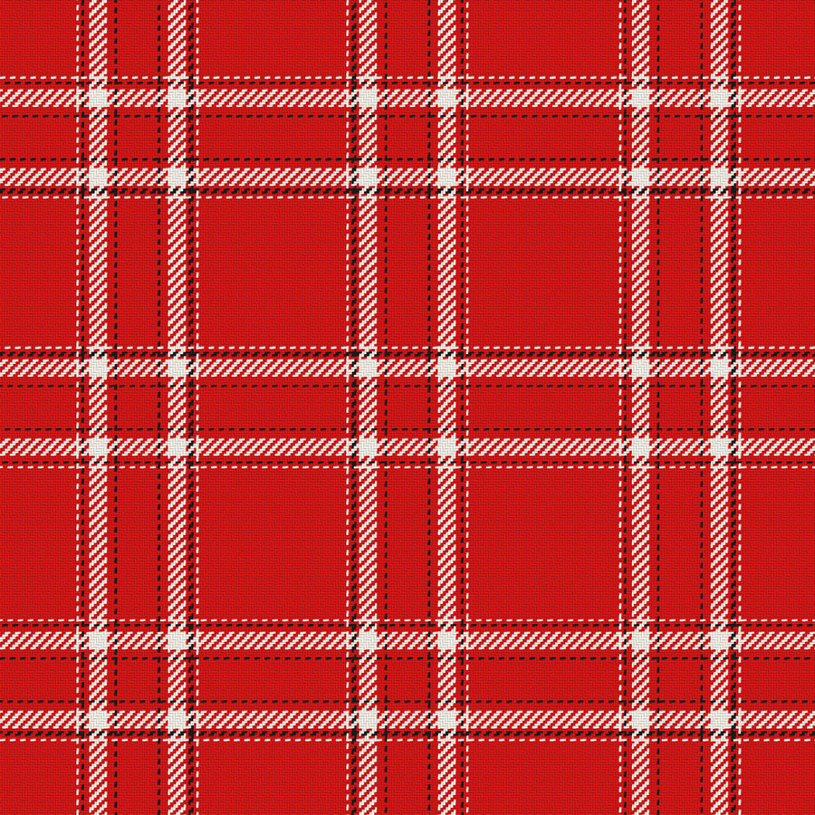 Scarlet, Cream & Near Black — Tailored