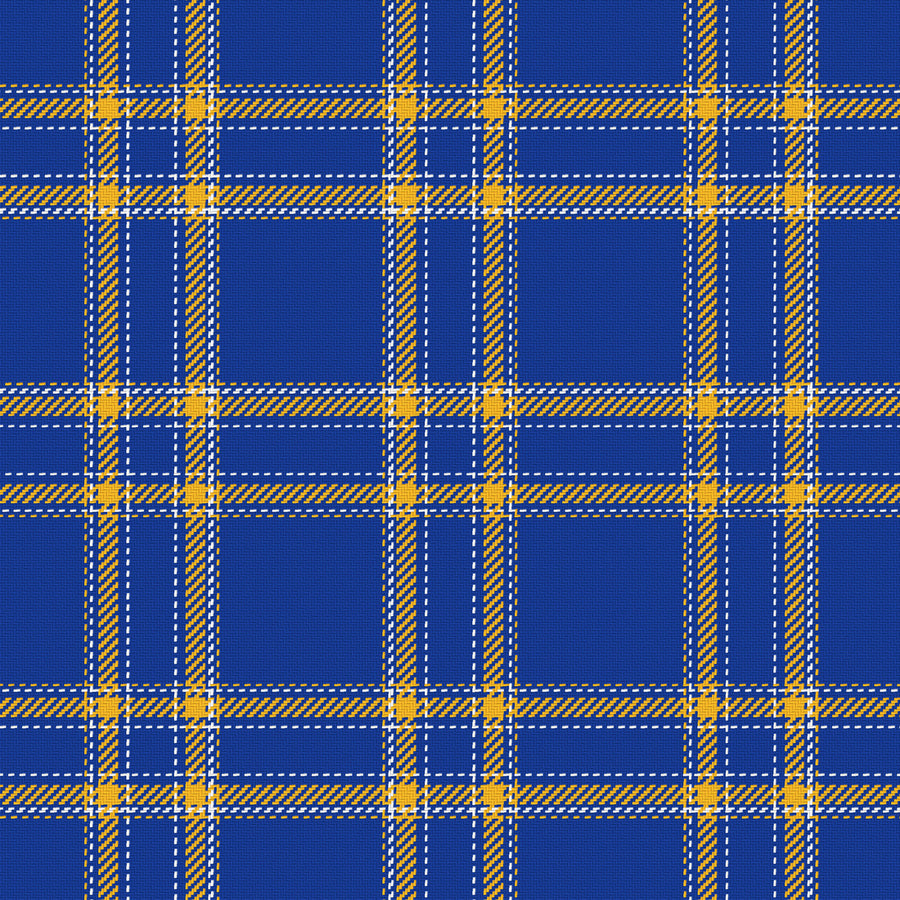 Royal Blue, Golden Yellow & White — Tailored