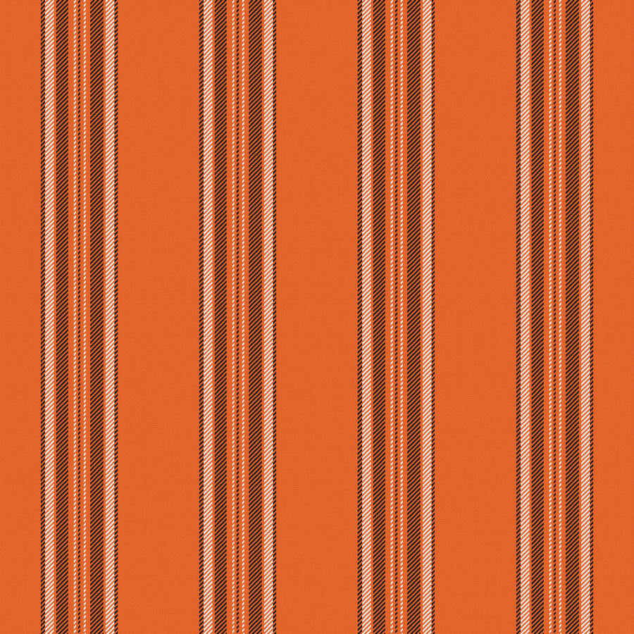 Orange, Near Black & White — Ashbourne