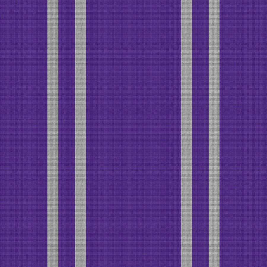 Royal Purple, Silver Gray & White — Double Track