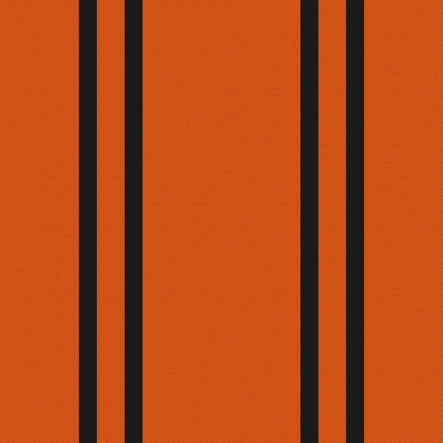 Orange, Near Black & White · Palette 014 — Double Track