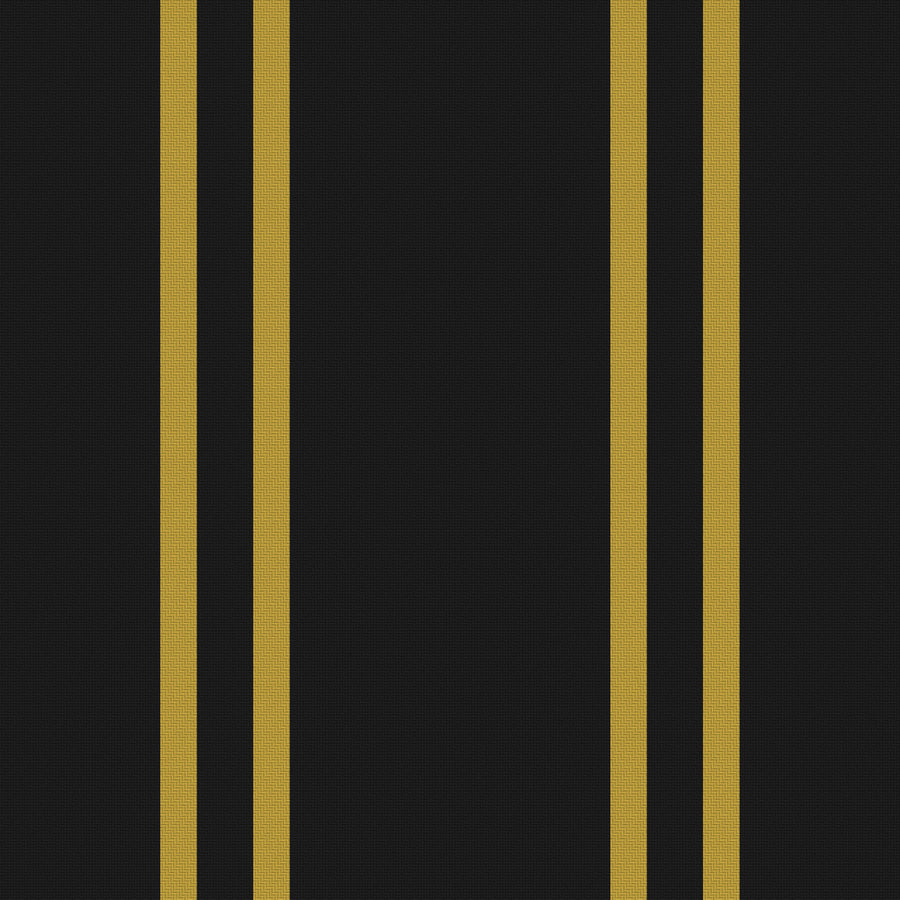 Near Black, Antique Gold & White · Palette 016 — Double Track
