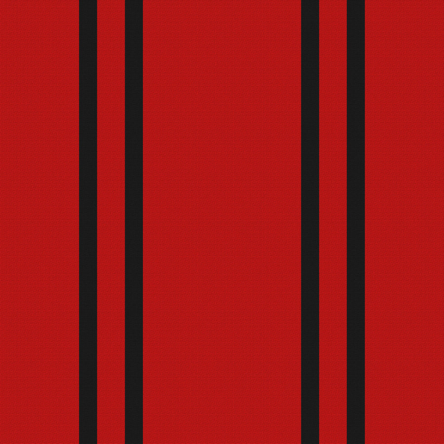 Deep Red, Near Black & White · Palette 017 — Double Track