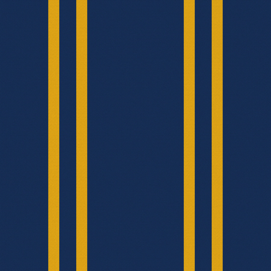 Deep Navy, Gold & White — Double Track
