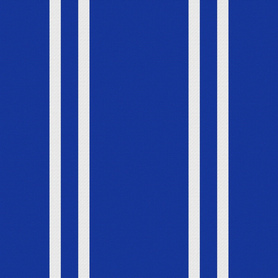 Royal Blue, White & Light Gray — Double Track