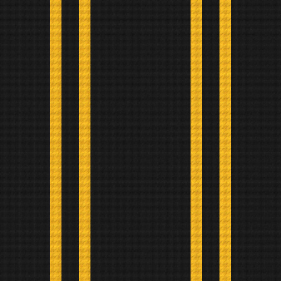 Near Black, Golden Yellow & White — Double Track