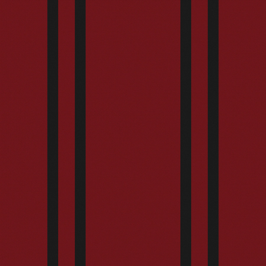 Garnet, Near Black & White — Double Track