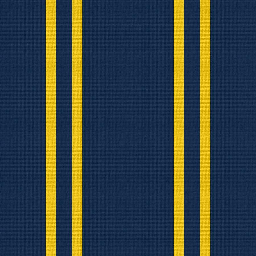 Navy, Maize & White — Double Track