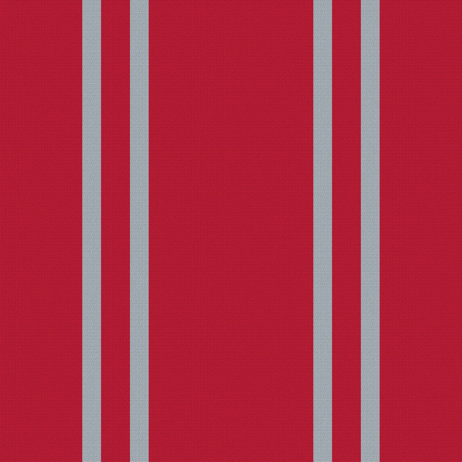 Scarlet, Gray & Near Black — Double Track