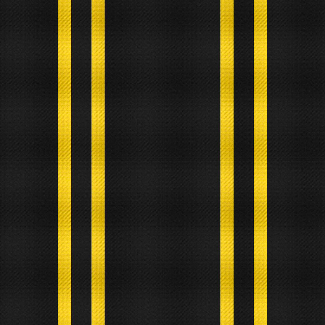Near Black, Golden Yellow & White · Palette 046 — Double Track — Full pattern
