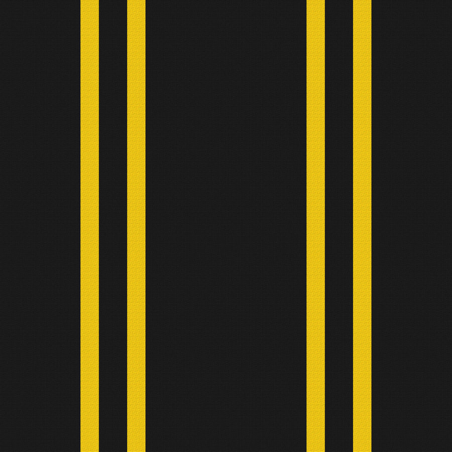 Near Black, Golden Yellow & White · Palette 046 — Double Track
