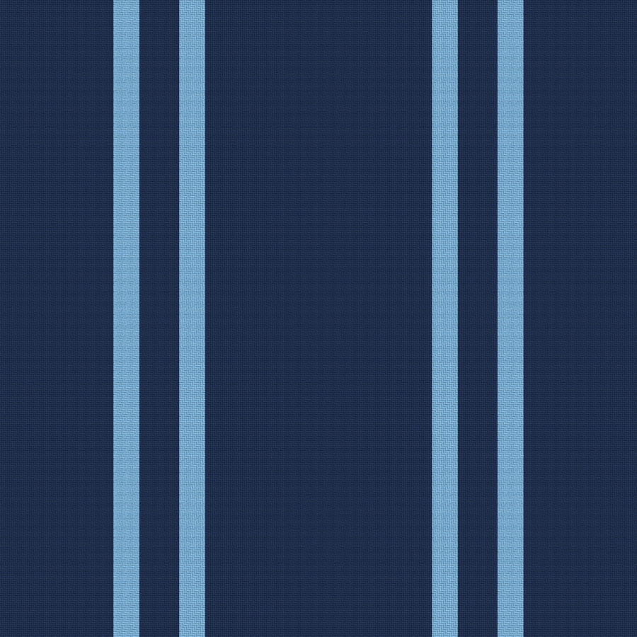 Navy, Powder Blue & White — Double Track
