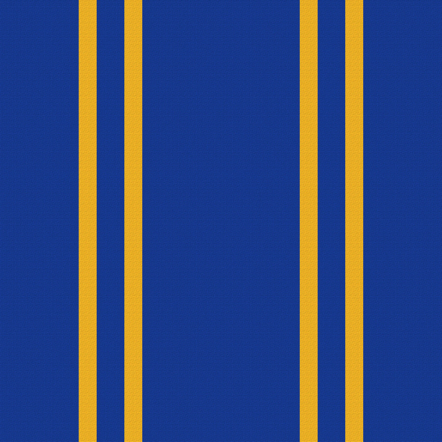 Royal Blue, Golden Yellow & White — Double Track