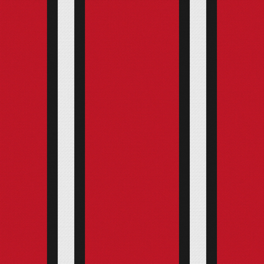 Red, Near Black & White · Palette 008 — Double Track Trio