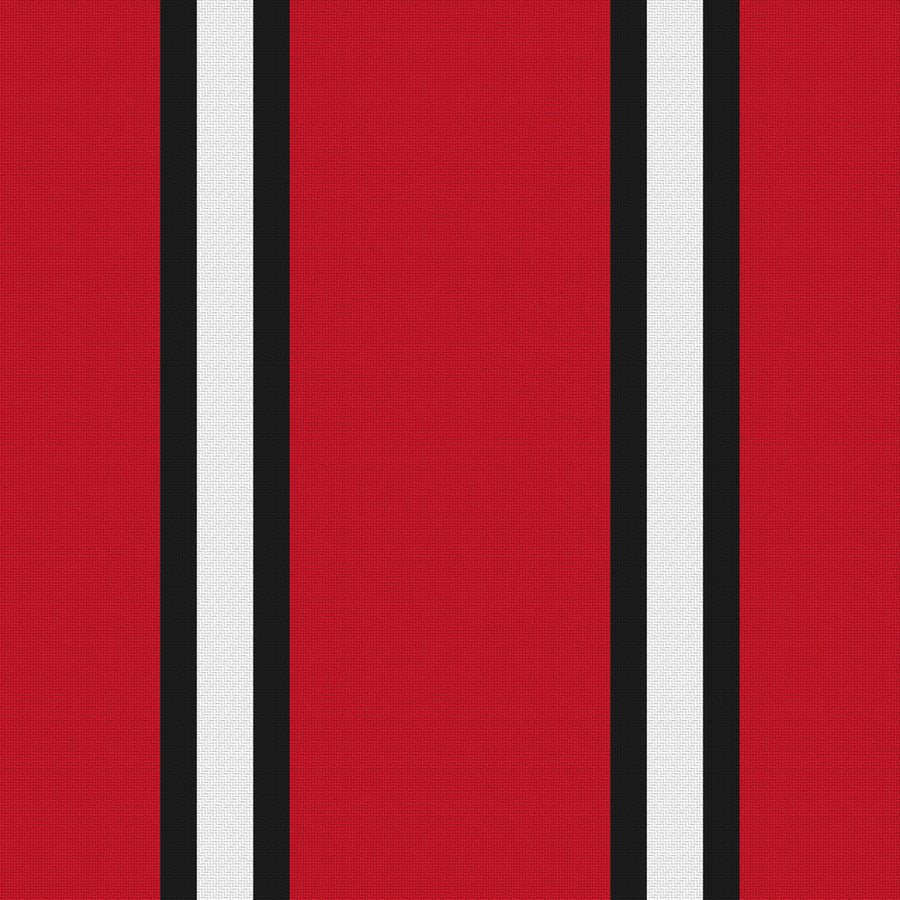 Deep Red, Near Black & White · Palette 015 — Double Track Trio