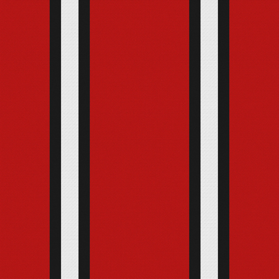 Deep Red, Near Black & White · Palette 017 — Double Track Trio