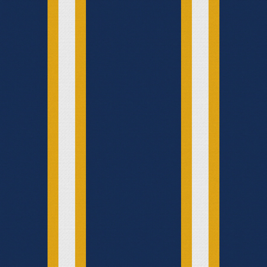 Deep Navy, Gold & White — Double Track Trio