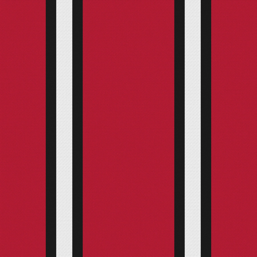 Red, Near Black & White · Palette 023 — Double Track Trio