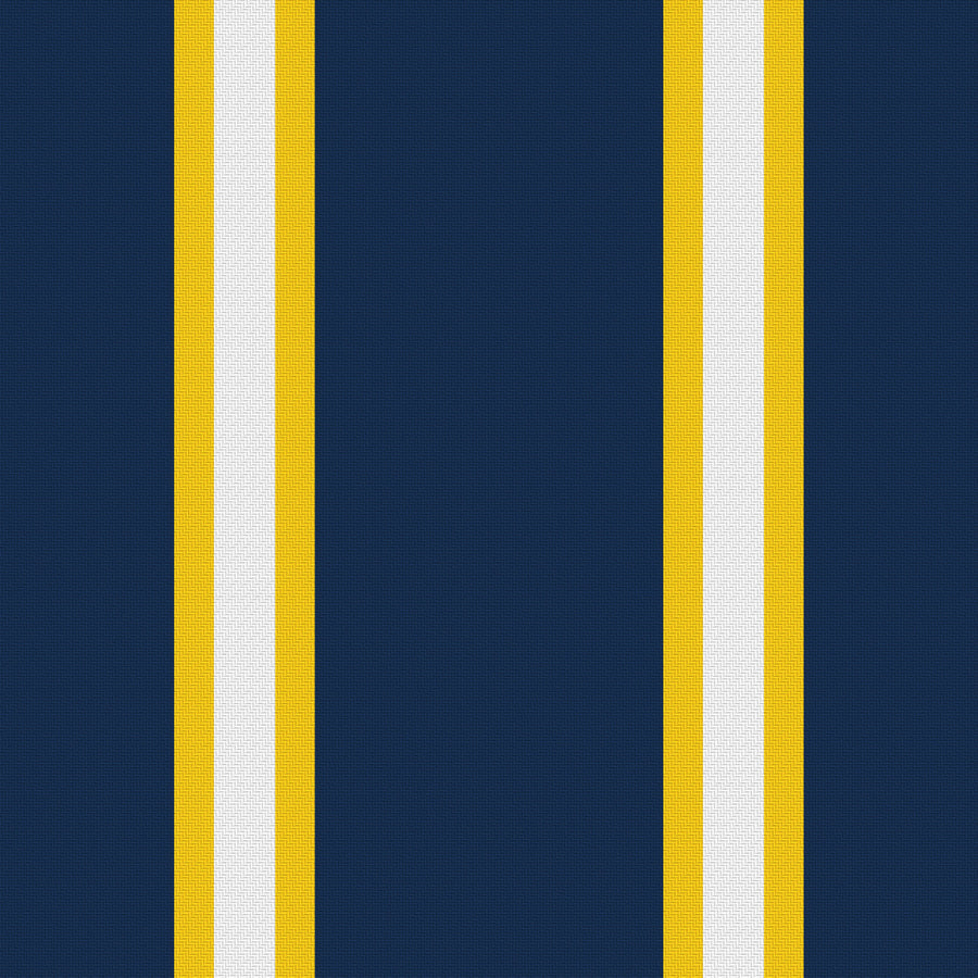 Navy, Maize & White — Double Track Trio