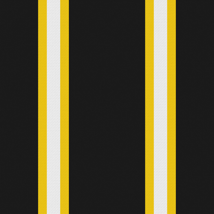 Near Black, Golden Yellow & White · Palette 046 — Double Track Trio