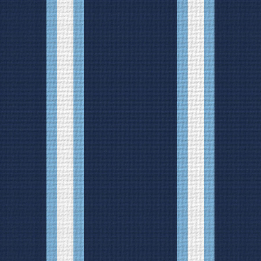 Navy, Powder Blue & White — Double Track Trio