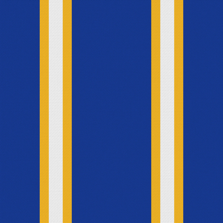 Royal Blue, Golden Yellow & White — Double Track Trio