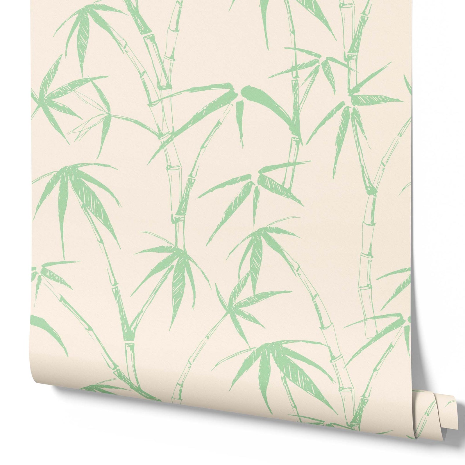 light-green_roll of wallpaper with bamboo sketch on cream background