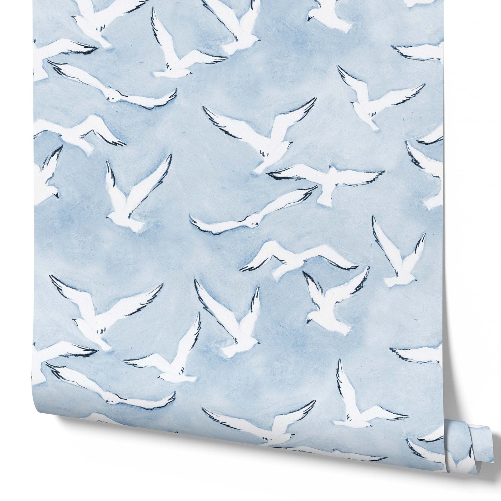 blue_seagulls flying