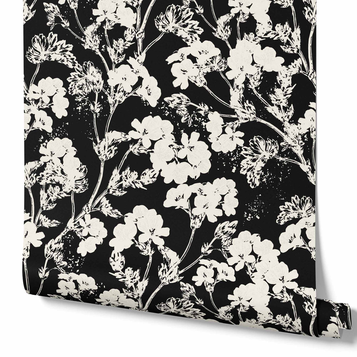 Botanical Burst in Black