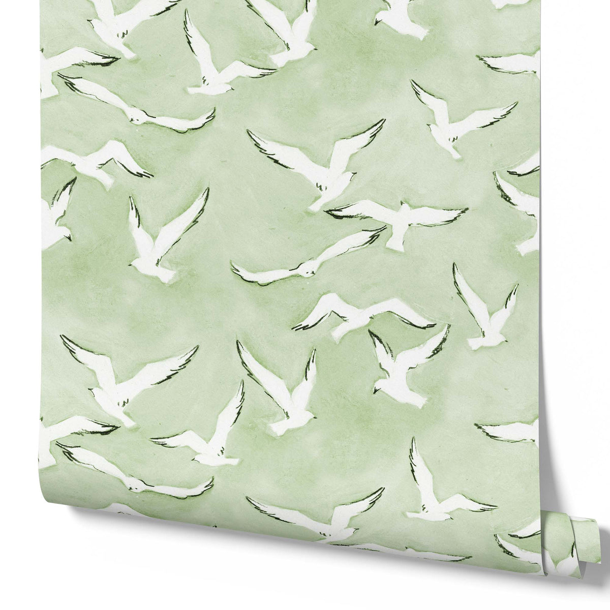 green_seagulls flying