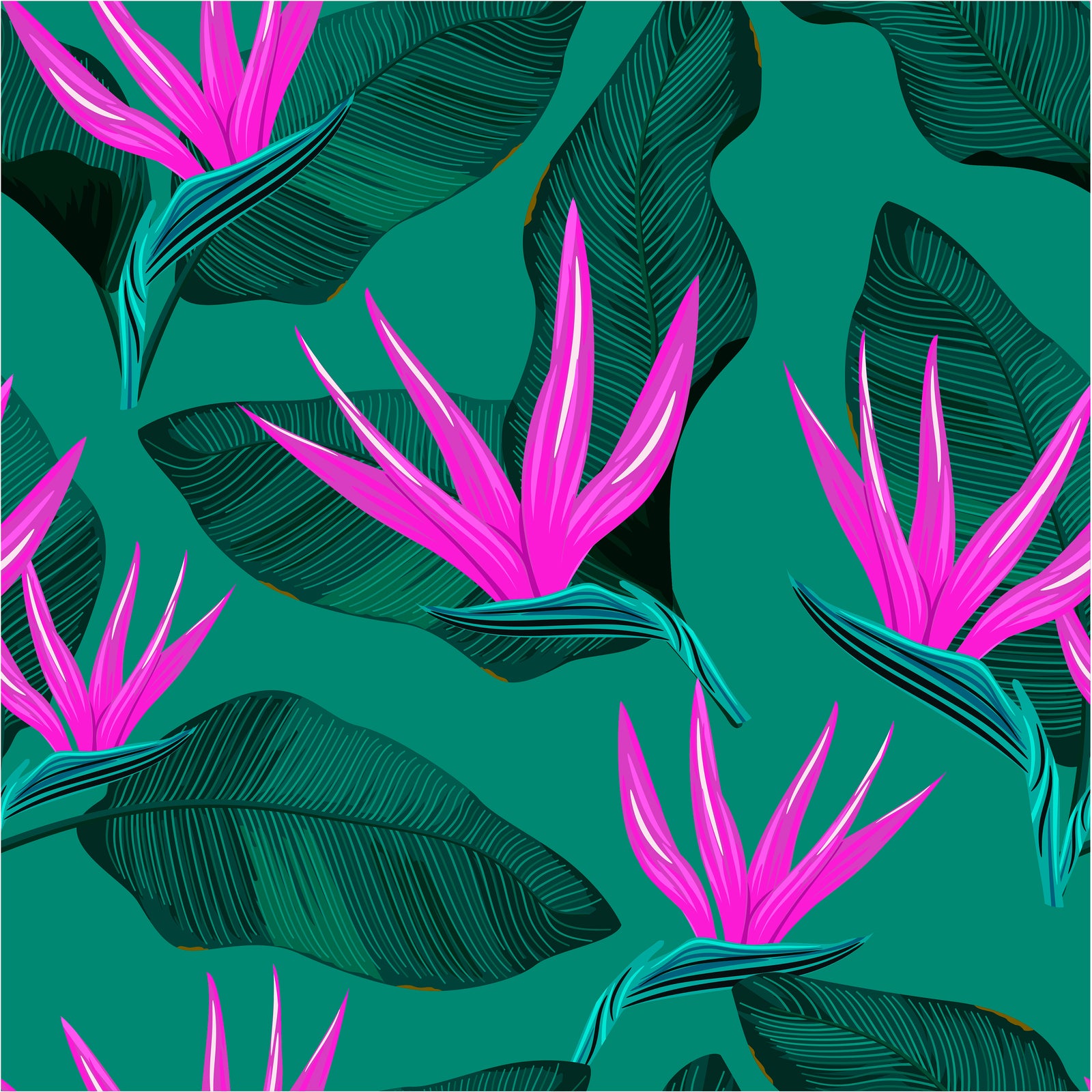 teal_A wallpaper with a tropical pattern, featuring large green leaves and hot pink flower blooms with a teal background.