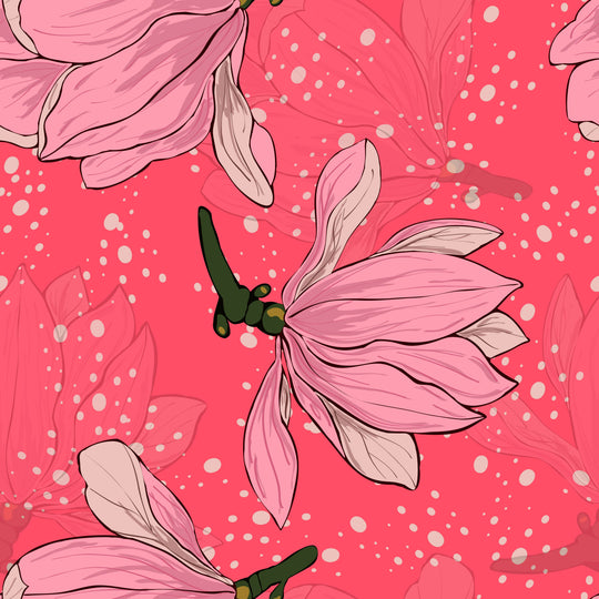 Blooming Magnolias