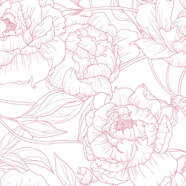 pink_A wallpaper with a repeated pattern of pink line drawings of peony flowers on a white background.