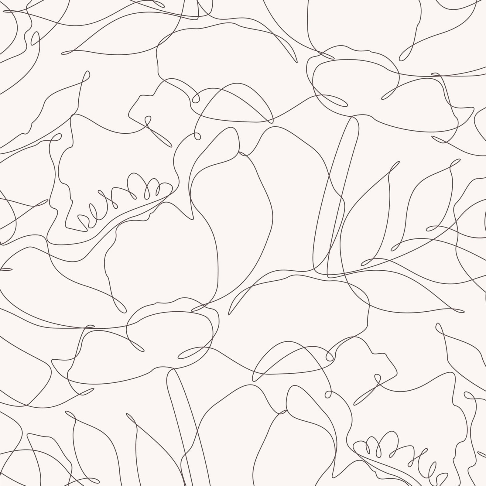 rose-white_product photo of floral