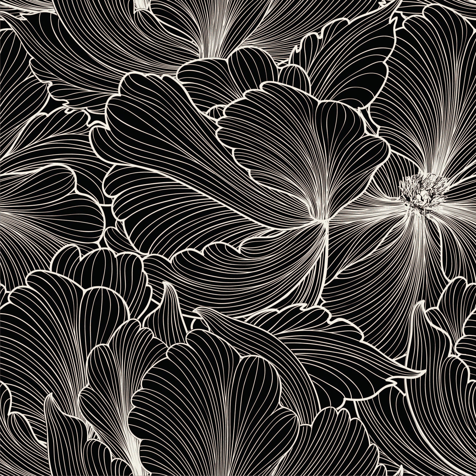 black_Bold floral pattern featuring large, flowing blossoms rendered in fine white linework on a black background, creating a high-contrast, elegant, and dramatic look in a seamless repeat.