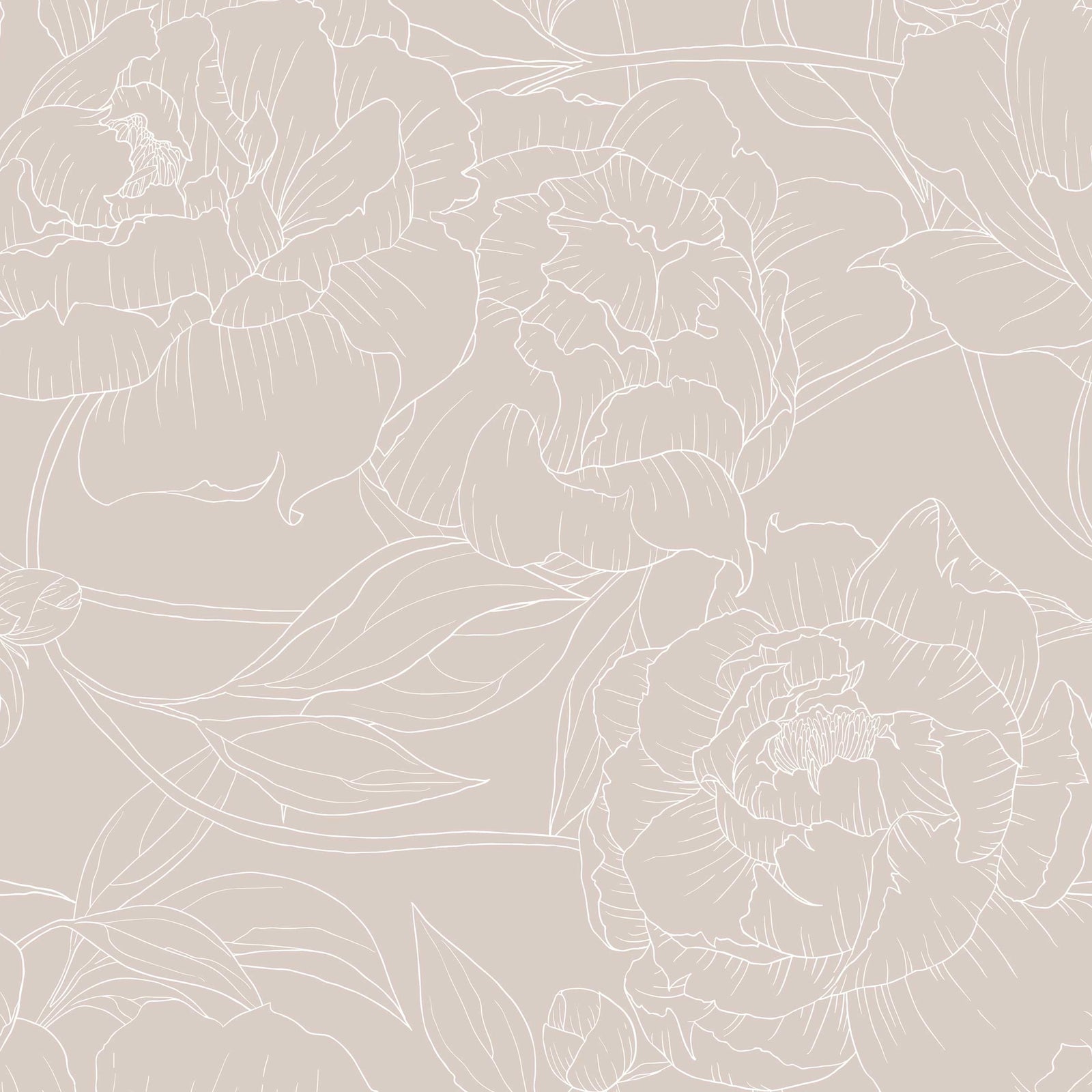 tan_A wallpaper with a repeated pattern of white line drawings of peony flowers on a tan background.