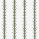Sage